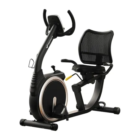 MERACH MR-S19 Recumbent Bike